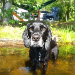 Meet your Posher, Ellay